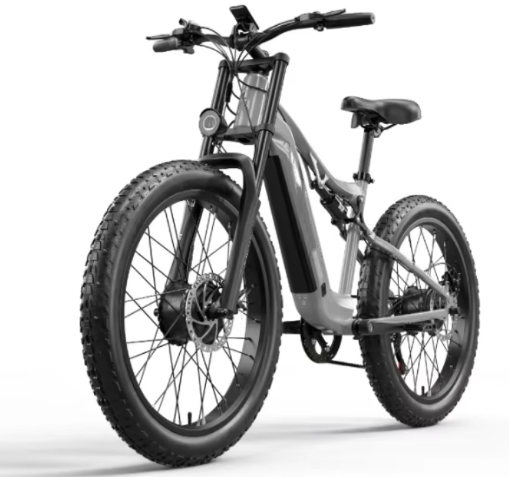 Thunder Electric Bike Company Dual 48V