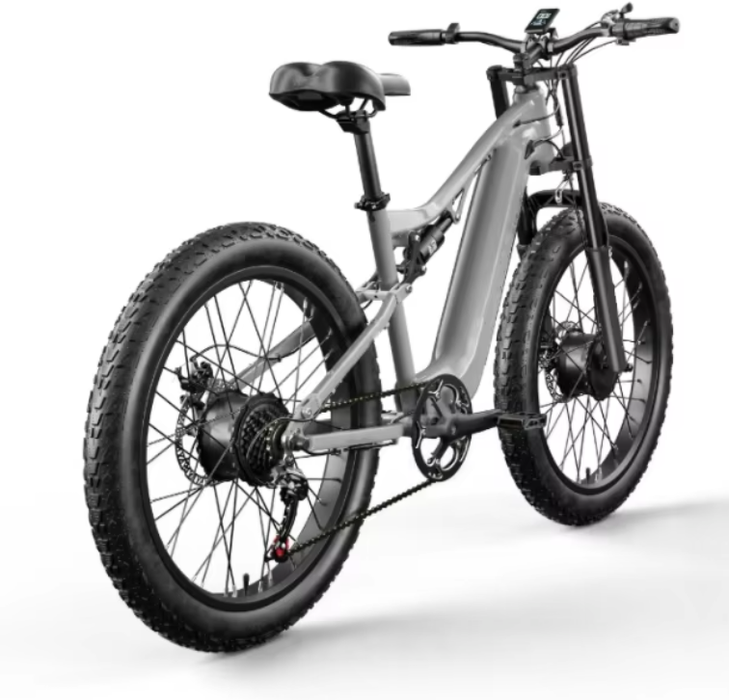 Thunder Electric Bike Company Dual 48V