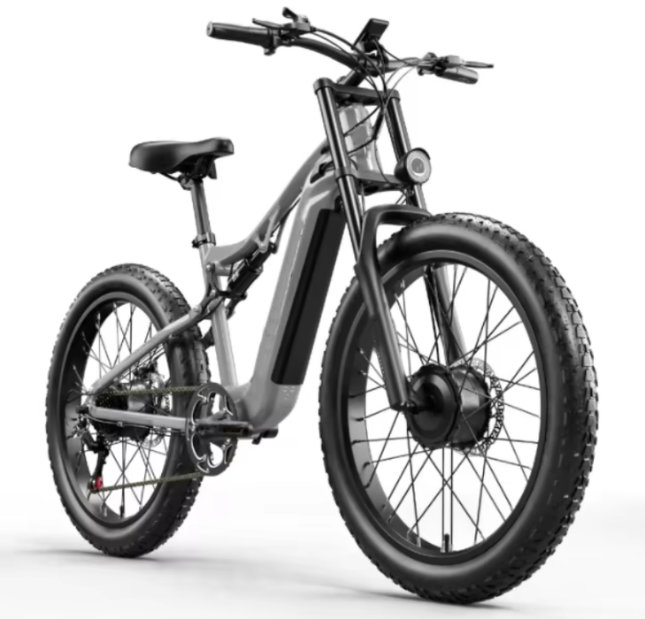 Thunder Electric Bike Company Dual 48V