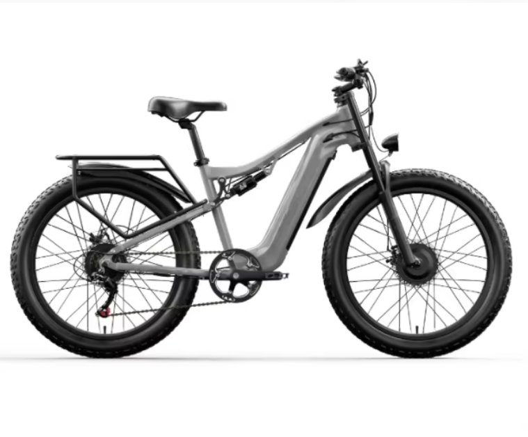 Thunder Electric Bike Company Dual 48V